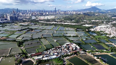 Ecological Devices: Experiments for Hong Kong’s Wetland Ecology